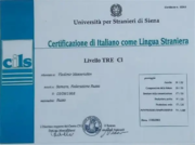 Сертификат CILS