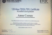 Сертификат TESOL