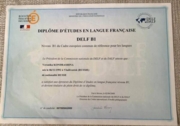 Сертификат Delf B1