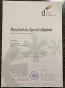 Deutsches Sprachdiplom (Zweite Stufe)