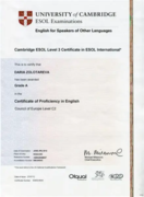 Cambridge CPE (Certificate of Proficiency in English)