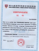 Диплом Китайской школы