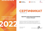 Сертификат. Конференция 2022