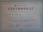 Сертификат Школы юного филолога ВШЭ, 2017 г.