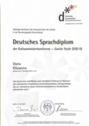 Международный экзамен по немецкому языку DSD || на уровень С1 (свободное владение)