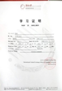 Сертификат прохождения курса китайского языка