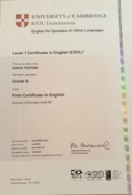 Certificate FCE Cambridge University Examination (Лондон)
