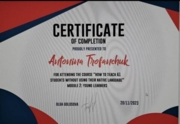 Сертификат об обучении преподаванию с 0 без использования русского языка