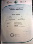 Сертификат об участии в международной стажировке.