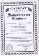 Сертификат об окончании языковых курсов - 4 уровень; B1; Intermediate