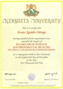 Degree Certificate