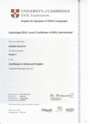 Сертификат CAE (Certificate in advanced English)