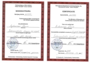 Сертификат по Английскому языку: Intermediate level