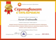 Сертификат по игровым технологиям в образовании