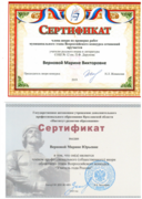 Сертификат. Член жюри Всероссийского конкурса сочинений, член жюри конкурса "Учитель года"