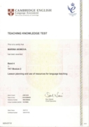 Сертификат ТКТ (Кембриджский экзамен для преподавателей), Module 2