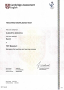Сертификат ТКТ модуль 3