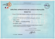 DALF C2 (международный диплом о высшем уровне знания французского языка из возможных)