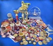 Кубки, медали и вымпелы за 20 лет игры в шахматы