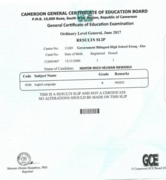 Мой диплом для английского языка в моей стране