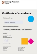 Teaching grammar at B1 and B2 webinar