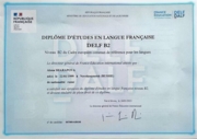 Диплом. Международный экзамен по французскому DELF