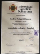 Диплом бакалавра в области преподавания испанского и английского языков