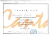 Сертификат  о прохождении Мастер Класса