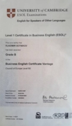 Business English Certificate Vantage (B2), Level 1 Certificate in Business English (ESOL)