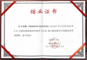 Сертификат об окончании курсов по китайскому языку в КНР, провинция Шандунь