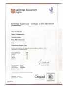 Кембриджский сертификат уровня PET (B2)