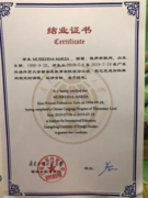Сертификат о краткосрочном обучении китайскому языку в Гуандунском университете