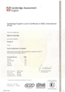 FCE Certificate (First Certificate in English) - сертификат Кембриджского университета о знании английского языка на уровне B2, получена наивысшая оценка (Grade A) на уровне C1.