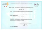 Международный диплом по французскому delf (A2)