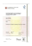 CELTA (Cambridge Teaching Certificate)