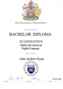 Bachelor Diploma