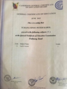 General certificate of Education, English ordinary Level