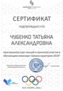 Сертификат о прохождении курса школы кураторов