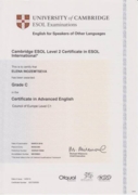 Кембриджский сертификат CAE (Certificate in Advanced English), 2010 г.