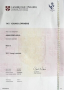 TKT:Young Learners