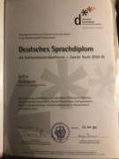DSD 2 (диплом, подтверждающий знание немецкого языка на уровень С1)