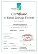 Сертификат по преподаванию английского языка