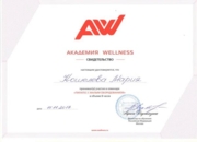 Сертификат Академии Wellness по направлению "Пилатес с малым оборудованием"
