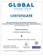 TESOL(Teaching English as a Second Language), TEFL(Teaching English as a Foreign Language) Certificate