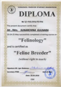 Felinology Diploma