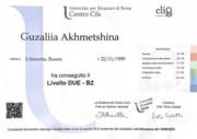 Сертификат CILS B2