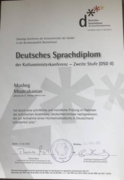 Сертификат о владении языка на уровне С1