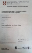 Business English Certificate Higher (C1), Cambridge ESOL Level 2 Certificate in ESOL International (Business English)
