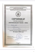 Сертификат участника конференции