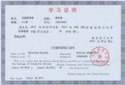 Сертификат об обучении в Пекинском Университете Языка и Культуры